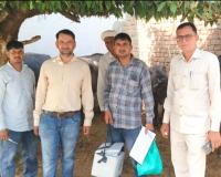 90 हजार पशुओं को बीमारी से बचाने का लक्ष्य, 15 दिन में 35 हजार से अधिक का हुआ टीकाकरण