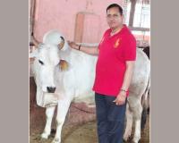 Gaushala News: गौ संवर्धन को बढ़ावा- पूर्व विधायक डॉ. पवन सैनी ने सरकार की ओर से श्री कृष्ण गौशाला समिति को सौंपी 20.92 लाख की सहायता राशि
