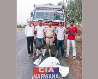 30 किलो चूरापोस्त व 1 किलो अफीम सहित दो तस्कर काबू