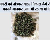 पथरी को तोड़कर बाहर निकाल देगे ये बीज, फायदे जानकर आप भी रह जाओगे दंग