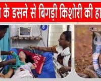 Snake News: सो रही 14 वर्षीय किशोरी को जहरीले सांप ने डसा, अस्पताल में भर्ती, हालत गंभीर