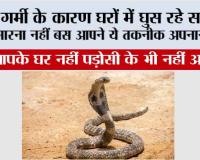Snake Safety Tips: गर्मी के कारण सांप घर में आ रहे है ...मारना नहीं बस आपने ये तकनीक अपनानी है...फिर आपके घर नहीं पड़ोसी के भी नहीं आएगा