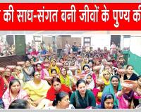 टोहाना की साध-संगत ने पक्षियों की राहत के लिए किया ये सराहनीय कार्य  