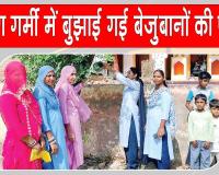 बेजुबानों के लिए सेवादारों के इस सराहनीय प्रयास ने छू लिया सबका दिल
