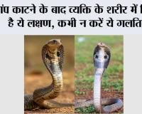Snake News: सांप काटने के बाद भूलकर भी न करें ये गलतियां, समय पर सही इलाज बचा सकता है जान