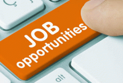 Assistant Librarian Recruitment: युवाओं के लिए खुशखबरी, सीजीपीएससी में लाइब्रेरियन पदों पर निकली वैकेंसी