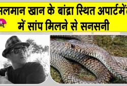 Snake News: सलमान खान के गैलेक्सी अपार्टमेंट में 'घोड़ा पछाड़' सांप मिलने से मचा हड़कंप