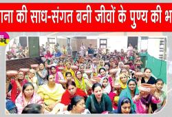 टोहाना की साध-संगत ने पक्षियों की राहत के लिए किया ये सराहनीय कार्य  