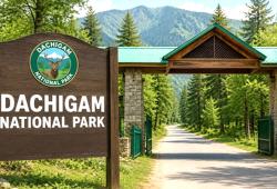 Dachigam National Park: प्रवेश रोक की खबरें झूठी, दाचीगाम नेशनल पार्क में गतिविधियां सामान्य