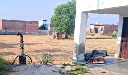 रात को चोर काटकर ले गए वाटर वर्कर्स के ट्यूबवेल की केबल
