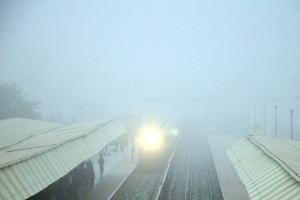 कोहरे में लिपटा राजस्थान, ठंड बढ़ी