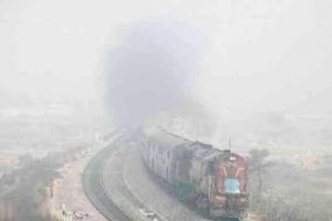 दिखने लगा सर्दी का असर, सड़को पर छाने लगा घना कोहरा