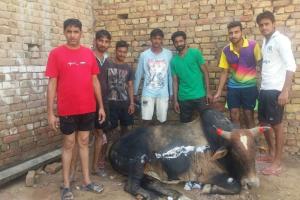दीनदुखियों का सहारा हैं ग्रीन एस के सेवादार