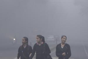 शीतकालीन अवकाश में लगाई जा रही है विशेष कक्षाएं