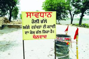 हरियाली के लिए महंगा साबित हो रहा है क्षेत्र का विकास