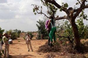 एक साथ पेड़ पर लटके मिले प्रेमी-प्रेमिका