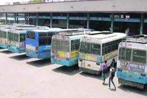 हरियाणा की सड़कों पर नहीं उतरी रोडवेज बसें