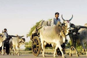 NRIs गोद लेंगे भारत के 500 गांव