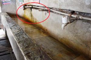 नया बस स्टैंड बना सपना, पुराने की संभाल नहीं