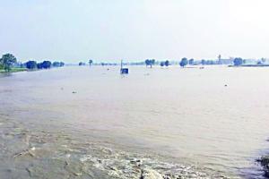 मदन हेड़ी के पास सुंदर ब्राच नहर टूटी