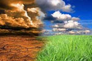 जलवायु परिवर्तन के खिलाफ लड़ाई में ‘भारत’ अग्रणी