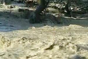 भारी बारिश के चलते अचानक आई बाढ़, 8 लोगों की मौत