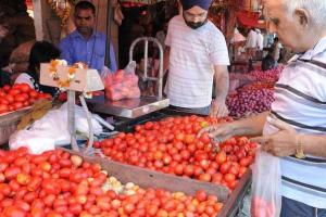 टमाटरों के बढ़े भाव से बिगड़ा सब्जी का जायका