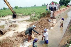 सलैज कैरियर में दरार, फसलें जलमग्न
