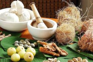 जन-जन समझे आयुर्वेद की महत्ता Importance of Ayurveda in Hindi