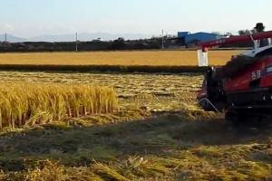 पराली न जलाने को जागरूक बनें किसान