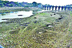 सरकार लापरवाह, सूख रहे नदियां-नाले : भूपेन्द्र