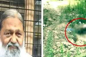 CMO अफिस के पीछे कुत्ते नोचते मिले मरीज का शव, मंत्री विज ने दिए जांच के आदेश