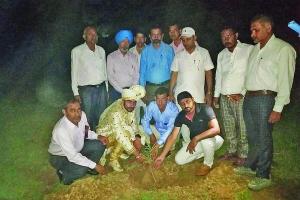 डेरा सच्चा सौदा की पवित्र शिक्षाआें पर चलते नवदम्पति ने किया पौधारोपण