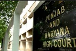 क्यों न एडमीशन प्रक्रिया को रोक दिया जाए : हाईकोर्ट