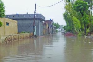 बरसात से गांवों शहरों की गलियों ने धारण किया नहरों का रूप