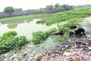 भारी मात्रा में हुई बरसात ने नगर निगम की बढ़ाई चिंता