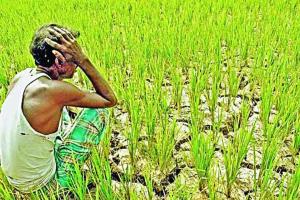 पुराने वायदों पर नई पॉलिश