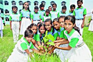अब विद्यार्थी प्रदेशभर में चलाएंगे ‘पौधागिरी’ अभियान