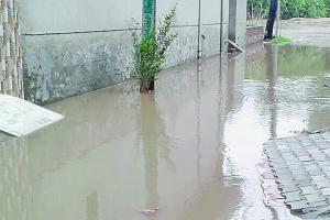 निकासी नालों की सफाई न होने के कारण लोग परेशान