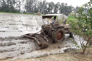 रादौर में सबसे ज्यादा 66 मिलीमीटर बरसात
