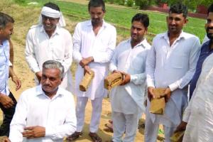 बेसहारा नहीं रहेगा गौवंश, गांव ने खोज निकाला हल
