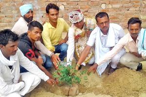 बारात लेकर आया दूल्हा लगाएगा पौधा