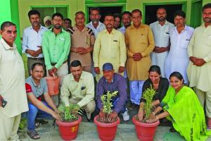 पावन अवतार माह के उपलक्ष्य पर लगाये सजावटी पौधे