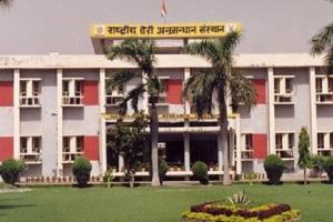 कैरीबैग के पांच रुपए लिए तो अदालत पहुंचा उपभोक्ता