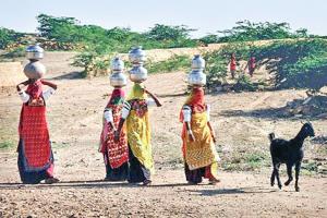 राजस्थान में पानी ने रूलाया और गर्मी ने झुलसाया