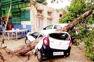 यमुनानगर में आंधी के साथ बरसात