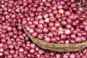 वक्त की मांग है समुचित कृषि नीति – Sustainable Agricultural Policy