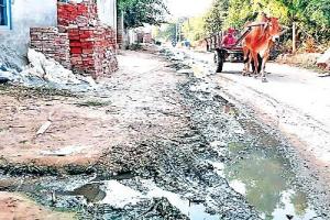 बठिंडा : नरक भरी जिंदगी जीने के लिए मजबूर पक्का कलां के निवासी