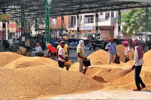अब किसानों को नहीं धान में नमी की टेंशन
