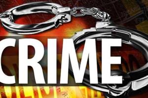 लुधियाना : पंजाब सरकार की सोशल सिक्योरिटी अधिकारी के घर चोरी